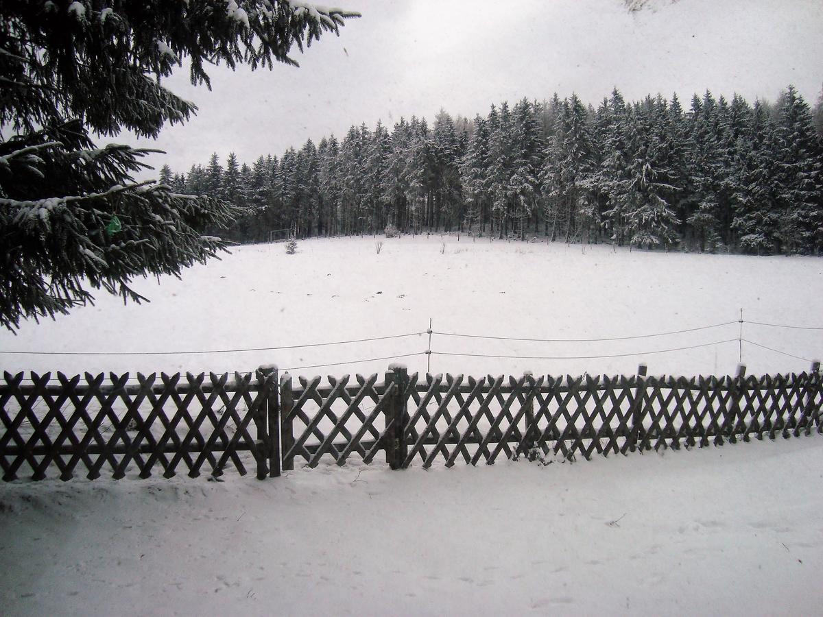 Ferienhaus Beja Winterberg Bagian luar foto