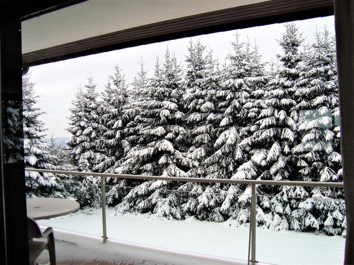 Ferienhaus Beja Winterberg Bagian luar foto